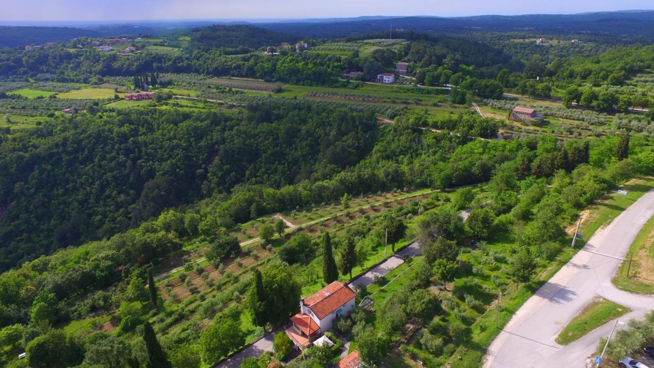 Apartments Smile By Rent Istria Groznjan Bagian luar foto